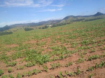 Imagem 1 · Fazenda