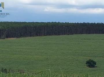 Imagem 1 · Fazenda