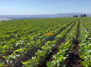 Imagem 1 · Fazenda