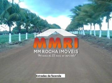 Imagem 1 · Fazenda
