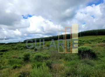 Imagem 1 · Fazenda