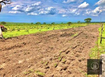 Imagem 1 · Fazenda