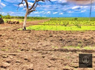 Imagem 1 · Fazenda