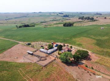 Imagem 1 · Fazenda