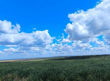 Imagem 1 · Fazenda para venda em Centro, João Pinheiro