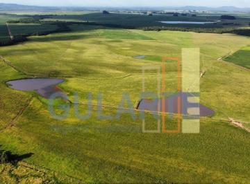 Imagem 1 · Fazenda