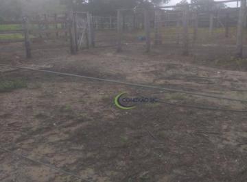 Imagem 1 · Fazenda