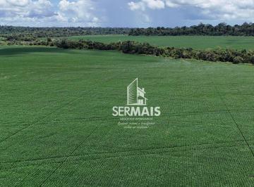 Imagem 1 · Fazenda