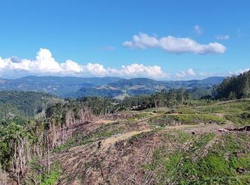 Imagem 1 · Fazenda