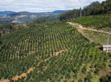 Imagem 1 · Fazenda para venda em Centro, Presidente Nereu