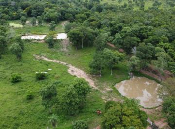 Imagem 1 · Fazenda