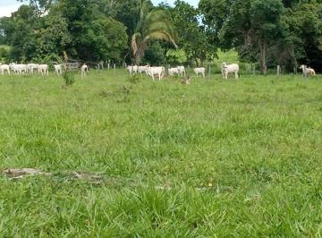 Imagem 1 · Fazenda