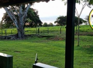 Imagem 1 · Fazenda