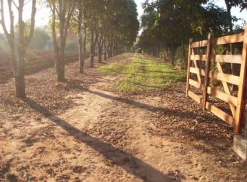 Imagem 1 · Fazenda