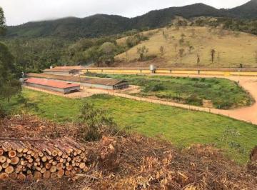 Imagem 1 · Fazenda