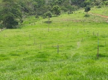 Imagem 1 · Fazenda