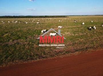 Imagem 1 · Fazenda