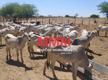 Imagem 1 · Fazenda