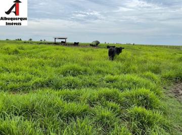 Imagem 1 · Fazenda
