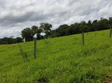 Imagem 1 · Fazenda