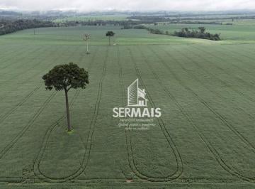 Imagem 1 · Fazenda