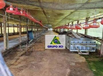 Imagem 1 · Fazenda