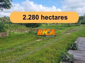 Imagem 1 · Fazenda