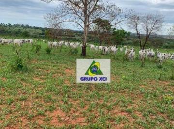 Imagem 1 · Fazenda
