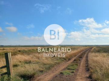Imagem 1 · Fazenda