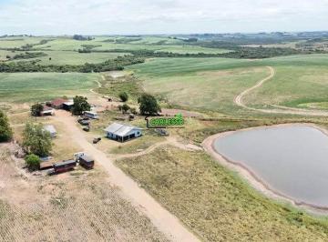 Imagem 1 · Fazenda