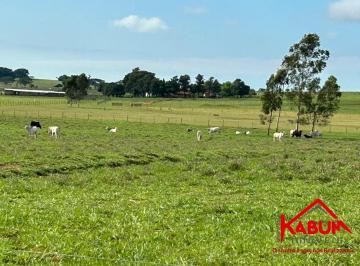 Imagem 1 · Fazenda
