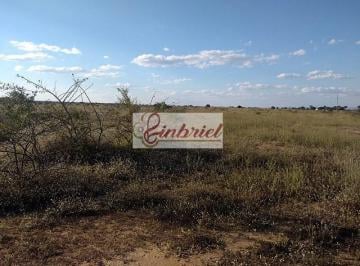Imagem 1 · Fazenda