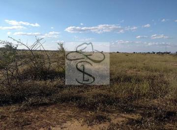 Imagem 1 · Fazenda para venda em Centro, Janaúba