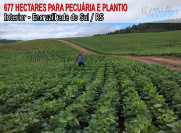 Imagem 1 · Fazenda
