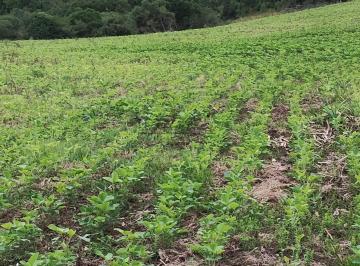 Imagem 1 · Fazenda para venda em Encruzilhada do Sul