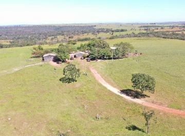 Imagem 1 · Fazenda