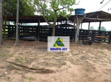 Imagem 1 · Fazenda