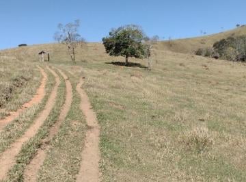 Imagem 1 · Fazenda