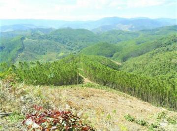 Imagem 1 · Fazenda