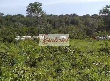 Imagem 1 · Fazenda