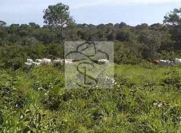 Imagem 1 · Fazenda para venda em Centro, Grão Mogol