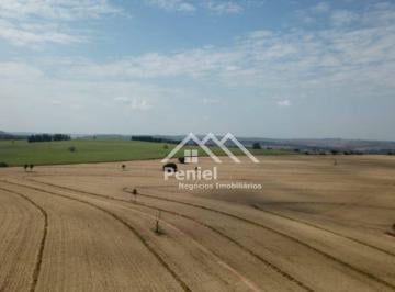 Imagem 1 · Fazenda para venda em Centro, Ribeirão Bonito
