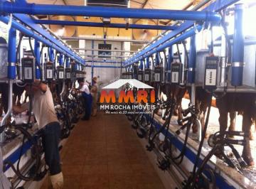 Imagem 1 · Fazenda