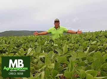 Imagem 1 · Fazenda