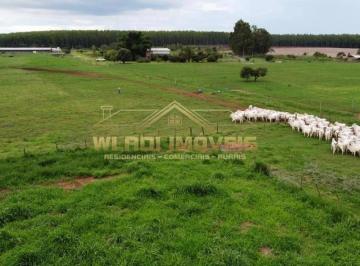 Imagem 1 · Fazenda