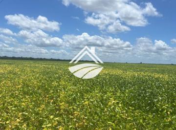 Imagem 1 · Fazenda