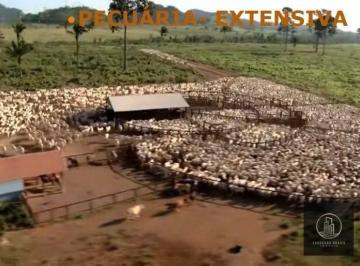 Imagem 1 · Fazenda