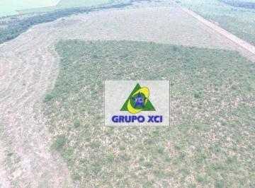 Imagem 1 · Fazenda