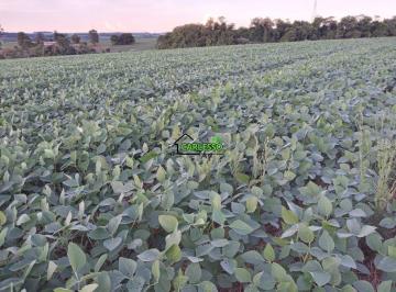 Imagem 1 · Fazenda