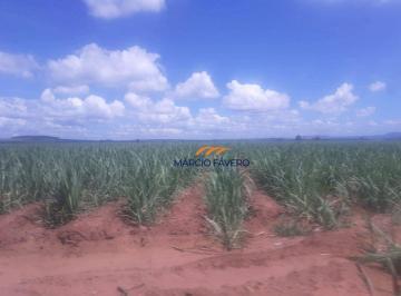 Imagem 1 · Fazenda